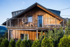 Chalet Almblick